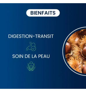 Charbon Actif Végétal Bio