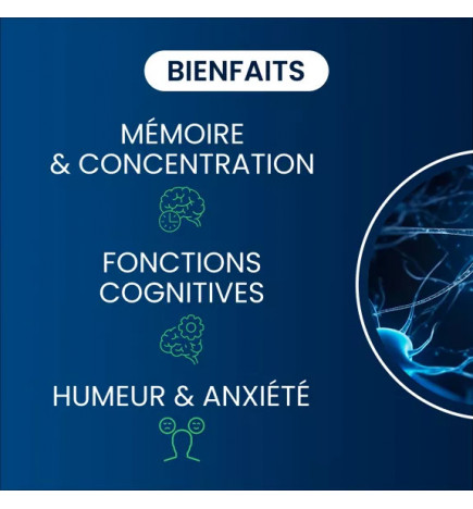 Magnésium L-Thréonate Magtein®