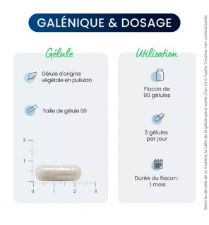 Magnésium L-Thréonate Magtein® – Boost Mémoire & Concentration | Complément Vegan | Dynveo