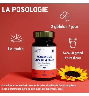 Formule Circulation Sanguine Veineuse – Jambes Légères avec Vigne Rouge, Cassis & Ginkgo | Complément Naturel | Laboratoires Eno