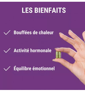 Formule Ménopause – Pollen, Shatavari & Safran pour l’Équilibre Hormonal | Complément Naturel | Laboratoires Enova