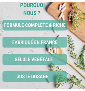 Formule Détox – Artichaut, Radis Noir & Pissenlit | Détox Foie & Drainage Naturel | Laboratoires Enova