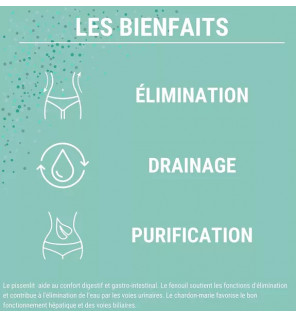 Formule Détox – Artichaut, Radis Noir & Pissenlit | Détox Foie & Drainage Naturel | Laboratoires Enova