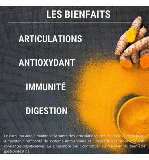 Curcuma, Poivre Noir & Gingembre – Articulations & Digestion | Anti-inflammatoire & Antioxydant | Laboratoires Enova