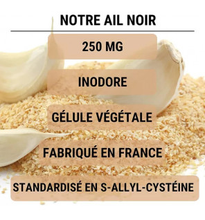 Ail Noir Fermenté – Circulation & Cœur | Standardisé en S-Allyl-Cystéine | Laboratoires Enova