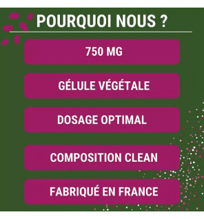 NAC – N-Acétyl-Cystéine | Détox Cellulaire & Protection Respiratoire | Laboratoires Enova