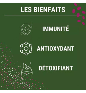 NAC – N-Acétyl-Cystéine | Détox Cellulaire & Protection Respiratoire | Laboratoires Enova