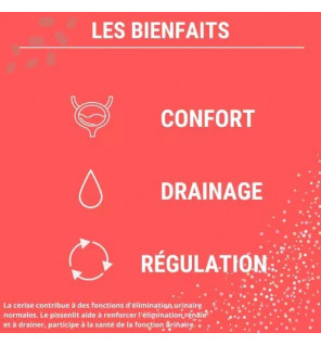 Formule Confort Urinaire 60 gélules - Cranberry, Psyllium & Pissenlit | Drainage & Régulation | Laboratoires Enova