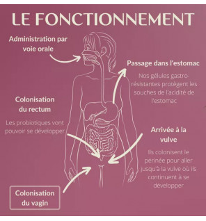 Probiotique Flore Intime - 60 gélules | Équilibre Vaginal | Laboratoires Enova