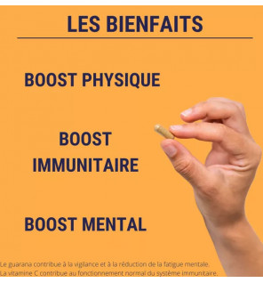 Formule Boost BIO 4G - 60 gélules | Énergie & Immunité | Laboratoires Enova