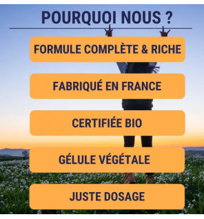 Formule Boost BIO 4G - 60 gélules | Énergie & Immunité | Laboratoires Enova