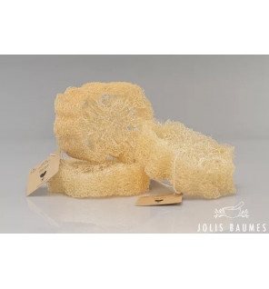 Loofah Exfoliant Naturel – Accessoire Zéro Déchet Corps & Peau Douce