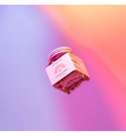 Gélules Maitake Bio PureNature | Complément Alimentaire Immunitaire Naturel