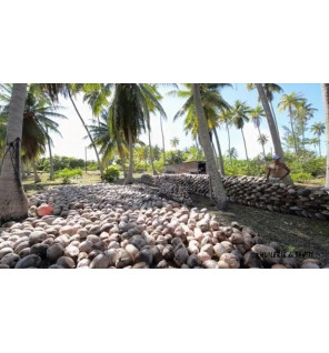 Monoï de Tahiti Tiaré – Huile Pure 150 ml | Naturado Appellation d’Origine